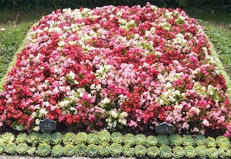 Abonnement Entretien - Tombe – Image 8